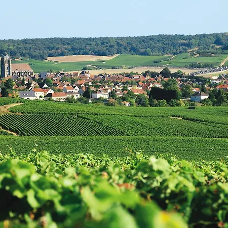 Logis Le Relais Champenois فندق 2*