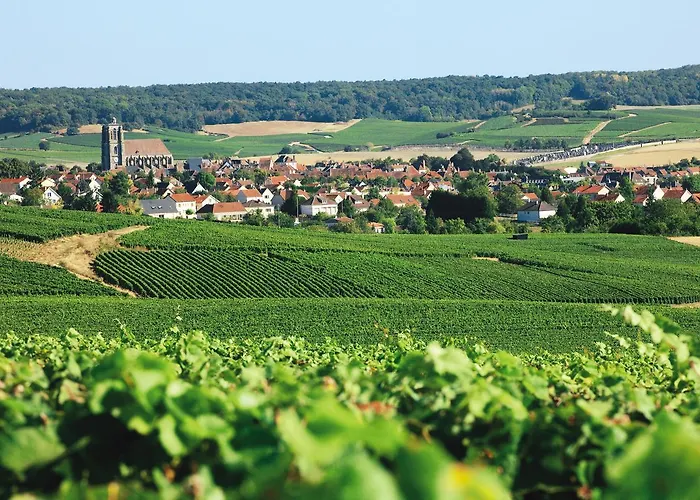 Logis Le Relais Champenois Hotel 2*